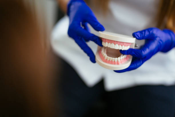 Professional Holistic Dental Care Services in Nyack, NY